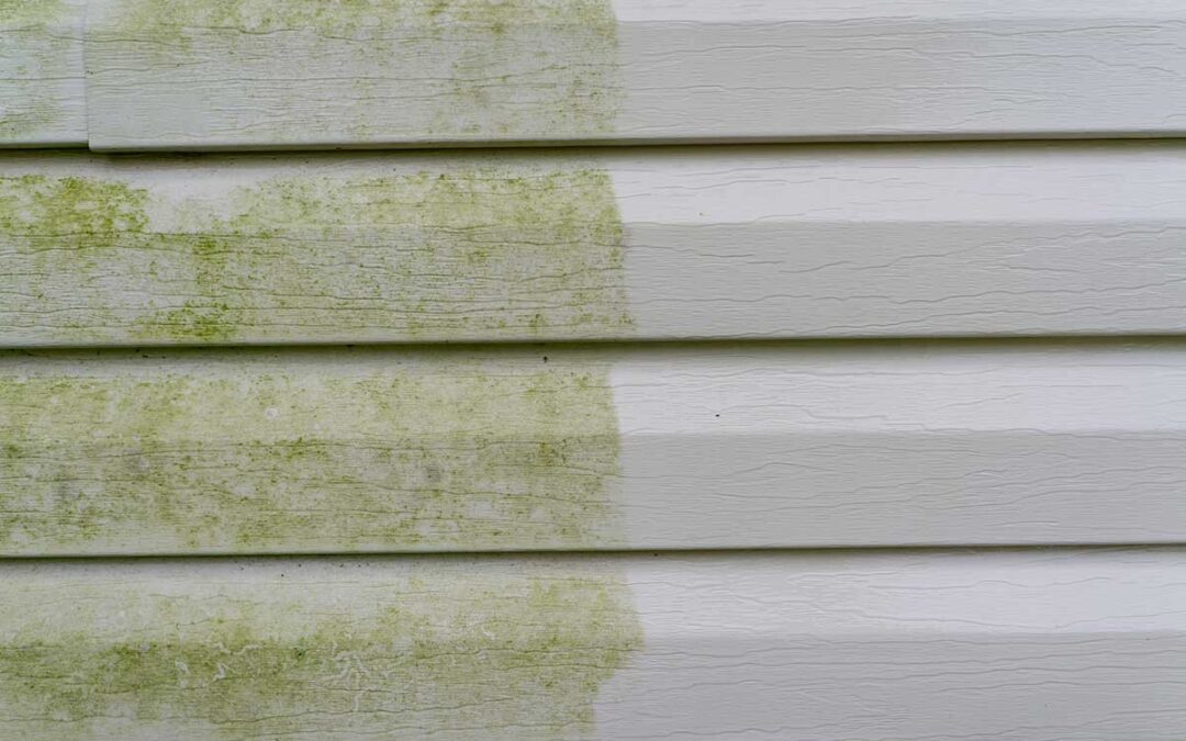 The Benefits of Soft Washing Your Siding and Roof