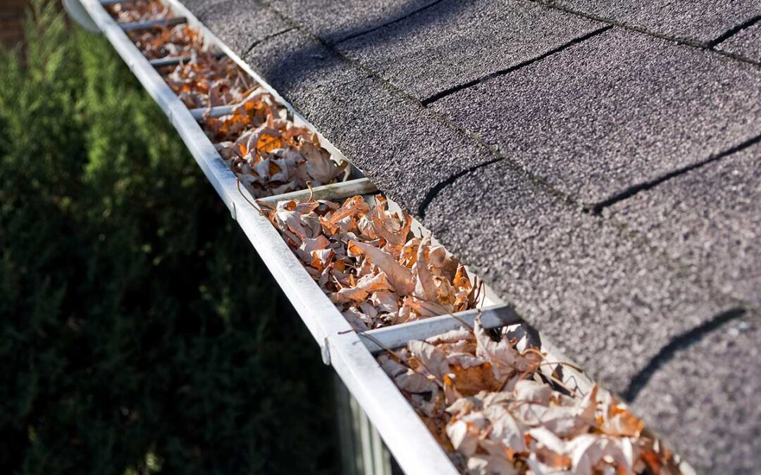 Fall’s Silent Threat: The Dangers of Clogged Gutters