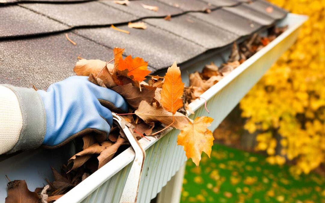 The Fall Cleanup Checklist: Why Cleaning Your Gutters Is a Must
