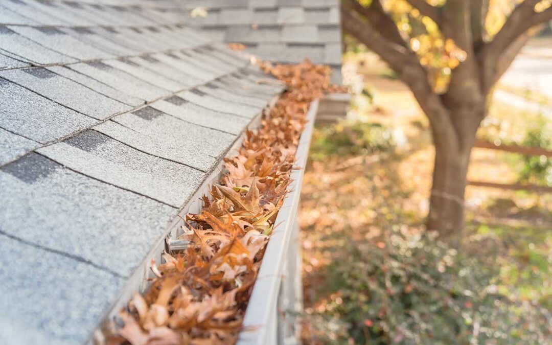 Keeping Your Home Safe and Beautiful: Fall Gutter Cleaning with Gutter People Bucks County